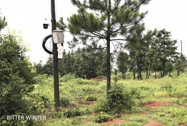 Camera at Bishop Zeng’s grave