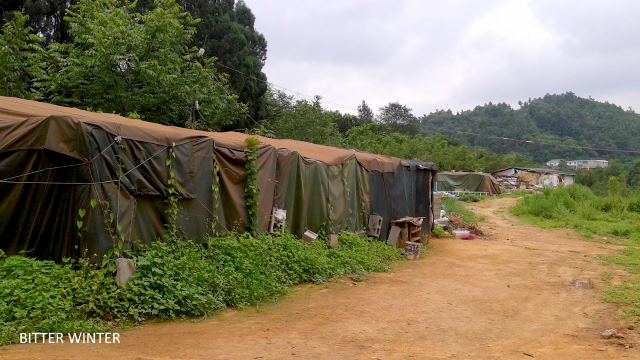 Tent erected by the Buddhists