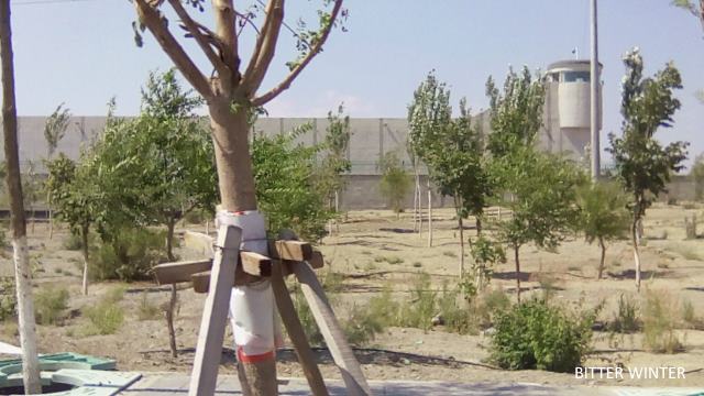 View of the underground prison with watchtowers