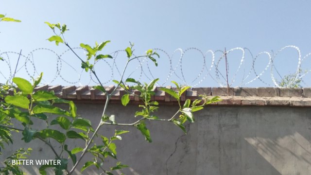 Security wire netting