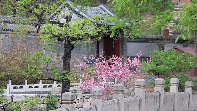 Longquan Temple