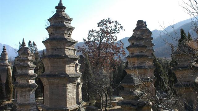 Pagoda Forest at Shaolin Temple
