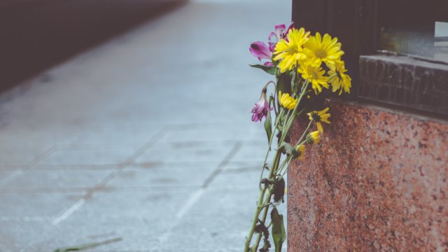 flowers on a wall