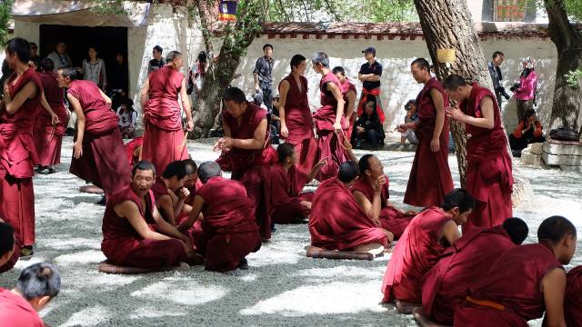 tibetan buddhist monks