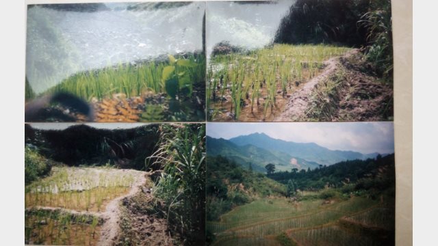 Farmland under the mine (Provided by an inside source)