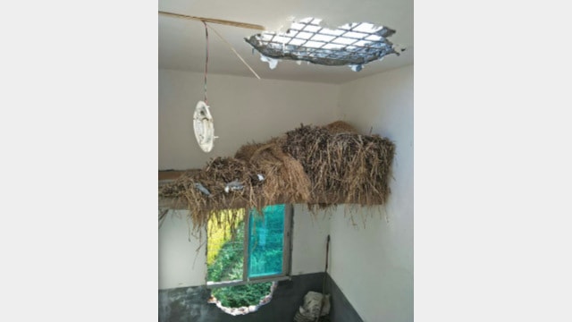 A large hole is smashed through the roof.