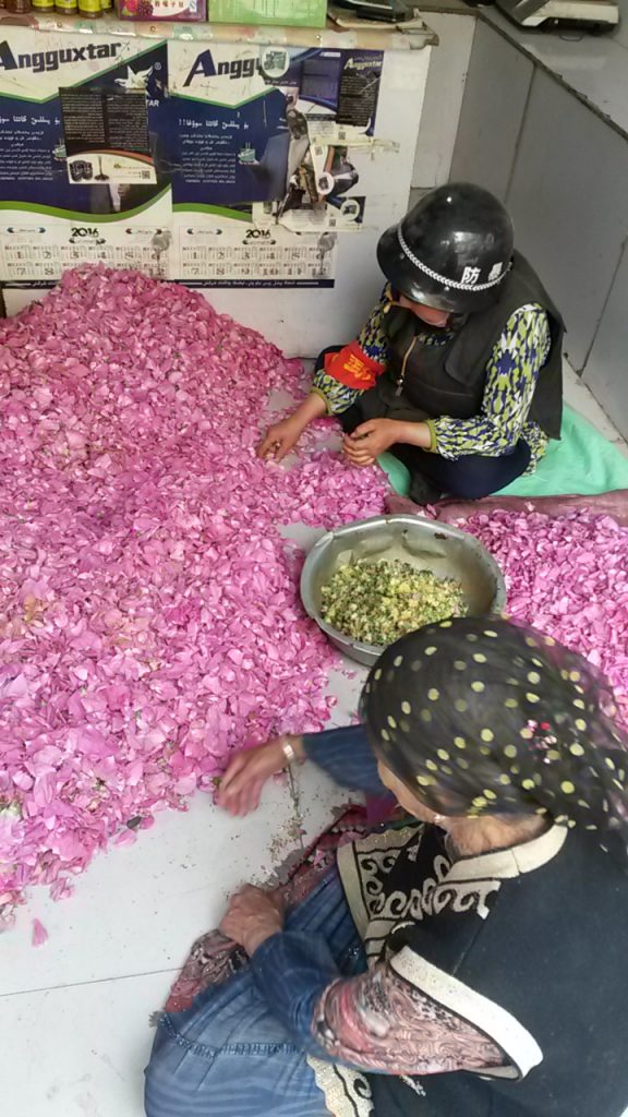 Tin-helmeted, red-arm-banded and bullet proof-vested rose petal sorter in Hotan. Summer 2018. These days only elderly women are permitted to wear head scarves