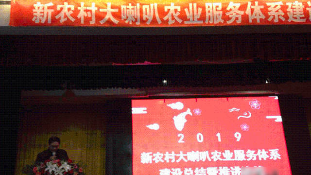 2019 Conference on Summary and Promotion of Hebei Provincial