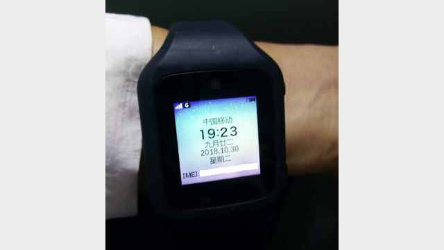 Image of the new type of electronic bracelet (supplied by an insider source)