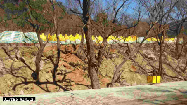 Arhat statues are piled at a dog-breeding farm.
