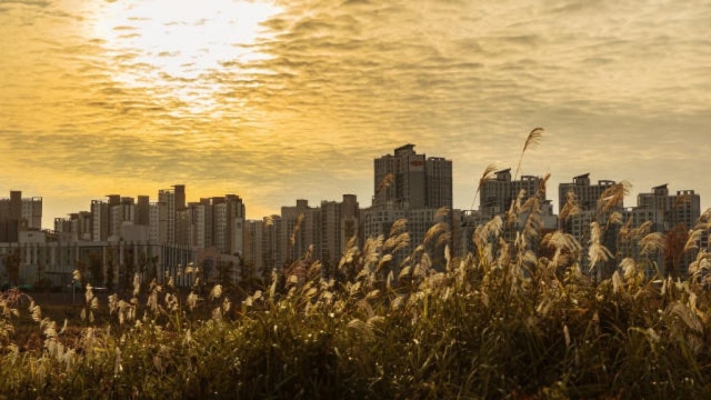 Skyscrapers in Seoul, South Korea