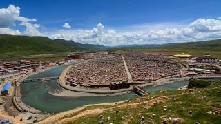 Persecution and Sexual Abuse of Tibetan Buddhist Nuns by the CCP